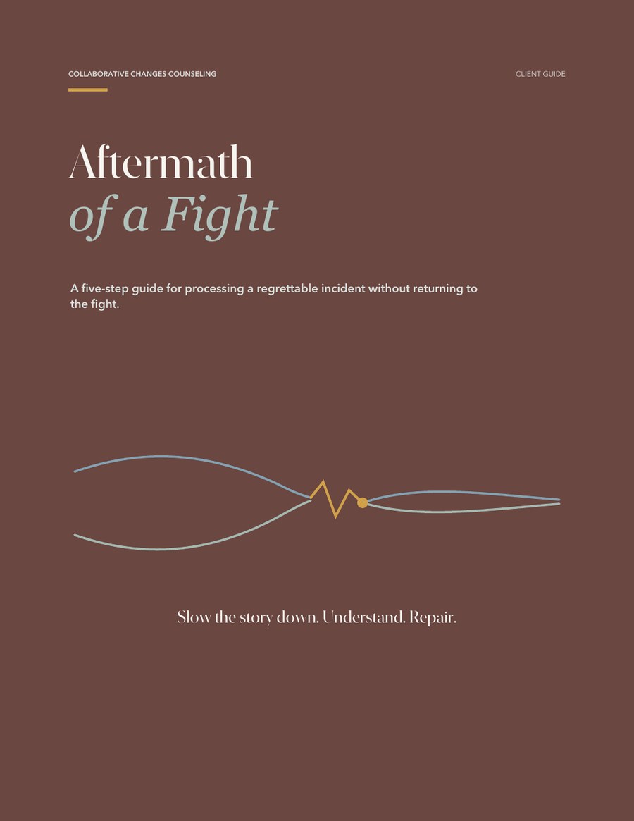 Cover of Aftermath of a Fight